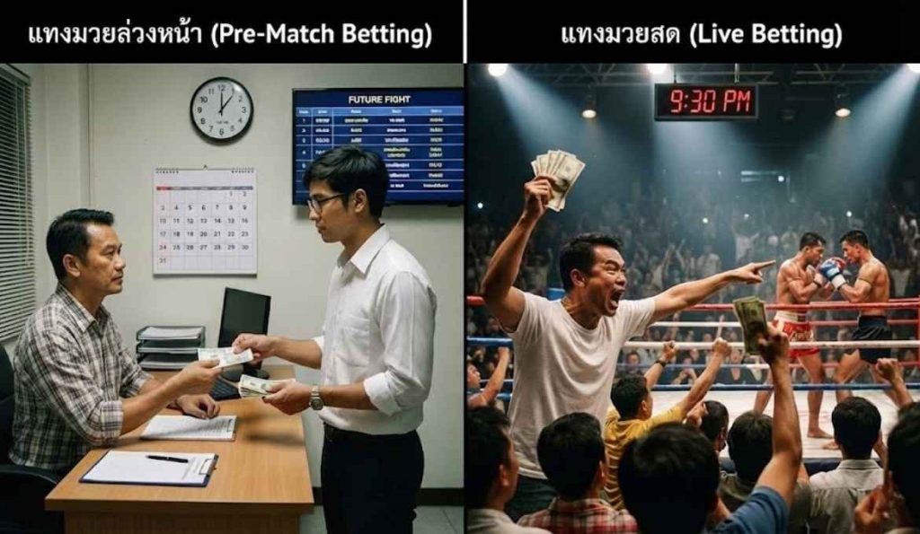 การแทงมวยล่วงหน้า vs แทงมวยสด